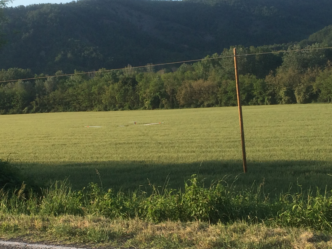 Fuoricampo Mery Voghera